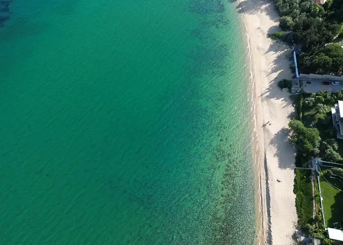 Dimitras PalaiónTsiflíkion