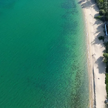 Dimitras PalaiónTsiflíkion