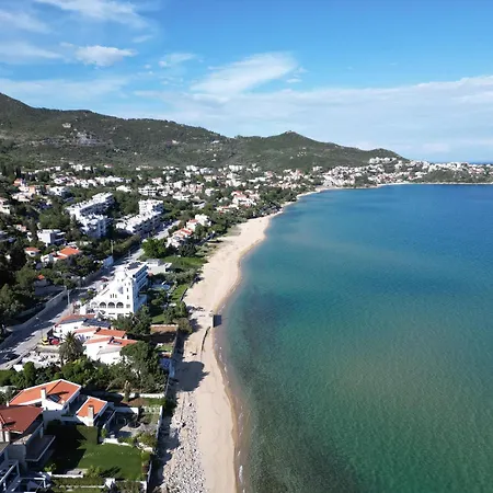 Dimitras Apartmán PalaiónTsiflíkion