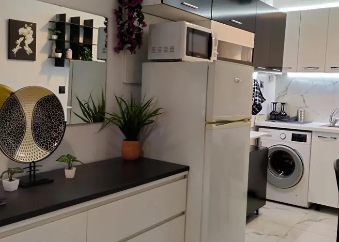 Dimitras PalaiónTsiflíkion