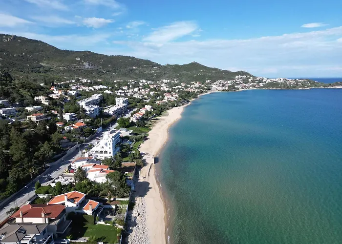 Dimitras Apartament PalaiónTsiflíkion